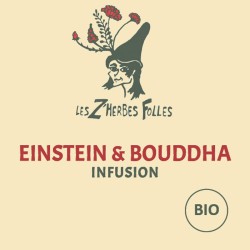 infusion Einstein et Bouddha