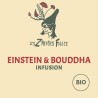 infusion Einstein et Bouddha