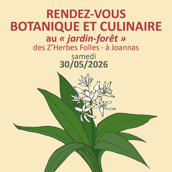 rdv au jardin-foret