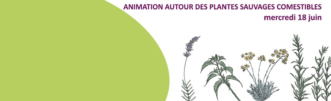 balade botanique